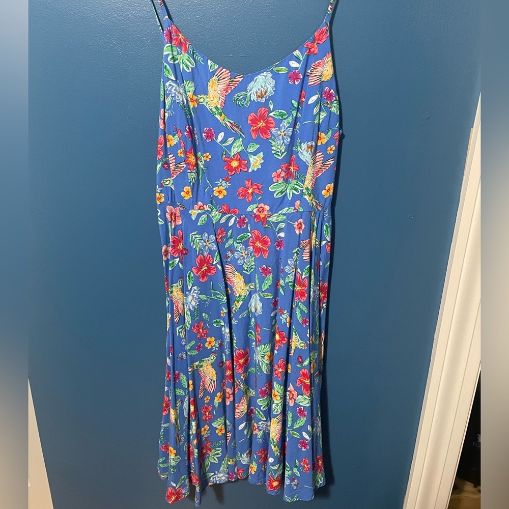 Old Navy Blue Floral Dress with Birds